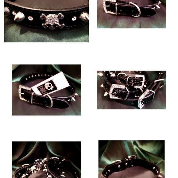 Skull dog collar - New With tags ❤️ - Picture 6 of 6